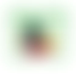 An expert IP lawyer for Ethiopia consulting on international trademark and patent filing strategies under the new Madrid Protocol and Paris Convention.