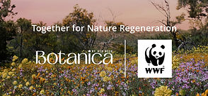 Air Wick_WWF_Logo_.jpg