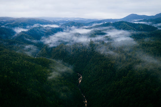 HORSPOOL_20190724_AU_53957_DJI_0723.DNG_39.3MB.jpg
