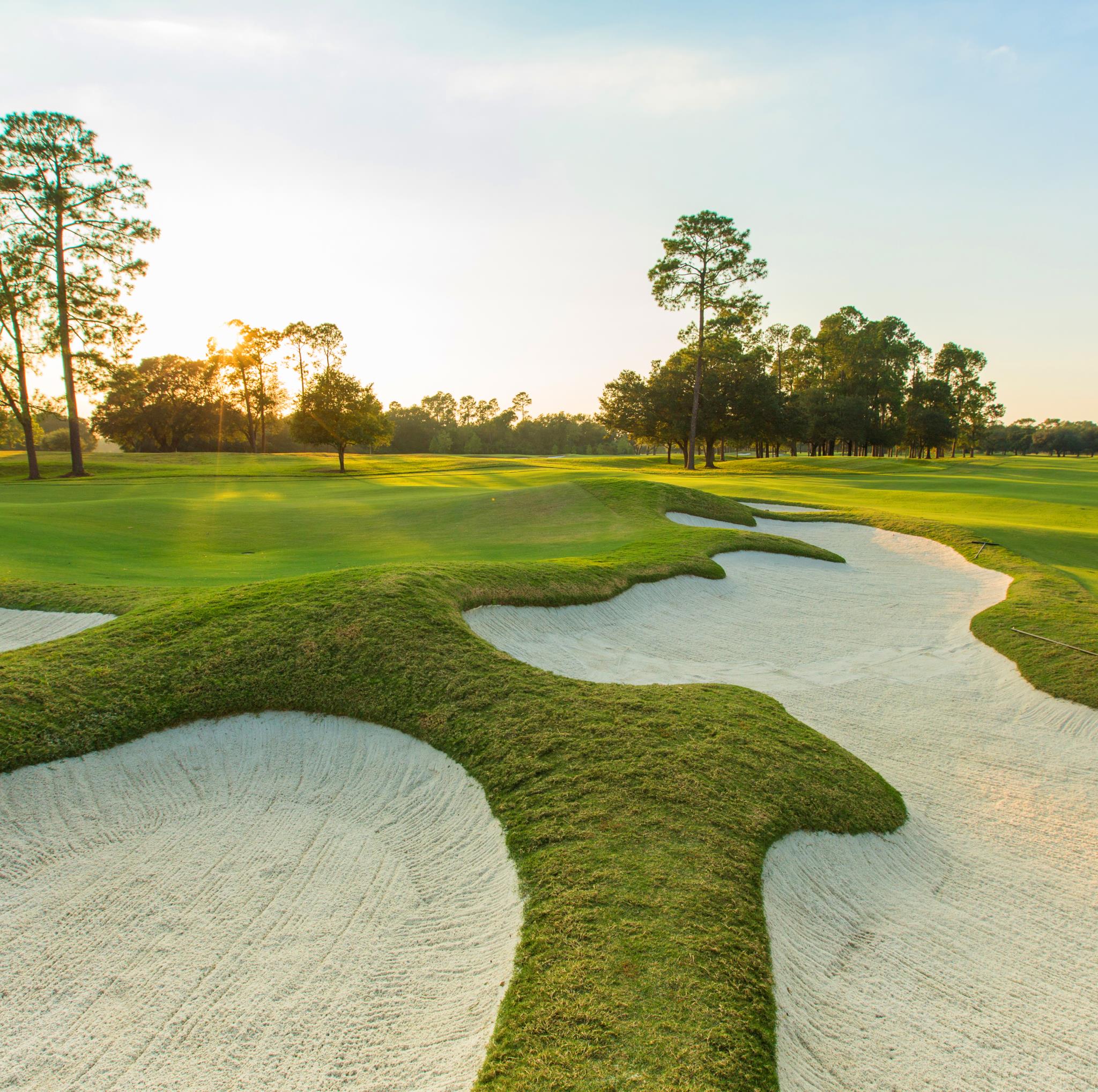 Houston Oaks 2.gif