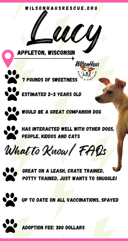 wilsonhausrescue.org (Mobile Video)-9.png