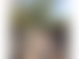 Olivenbaum kaufen in Schönaich: Mediterrane Highlights auf der Schönbuch-Höhe