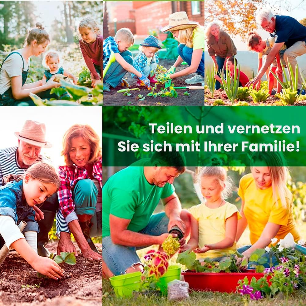 Miniaturbild: Gemüsesamen Set - 36 Sorten Premium Gemüse Saatgut- Samentütchen Ideal Für Terra