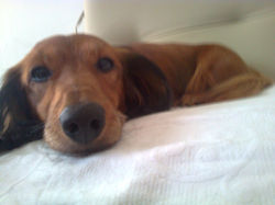 Foto0107