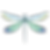 Blue Dragonfly