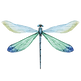 modrá Dragonfly