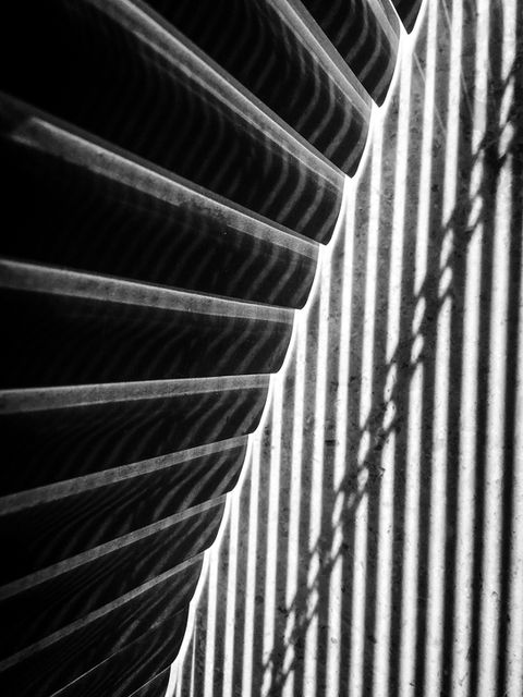1_Where the lines meet.jpg