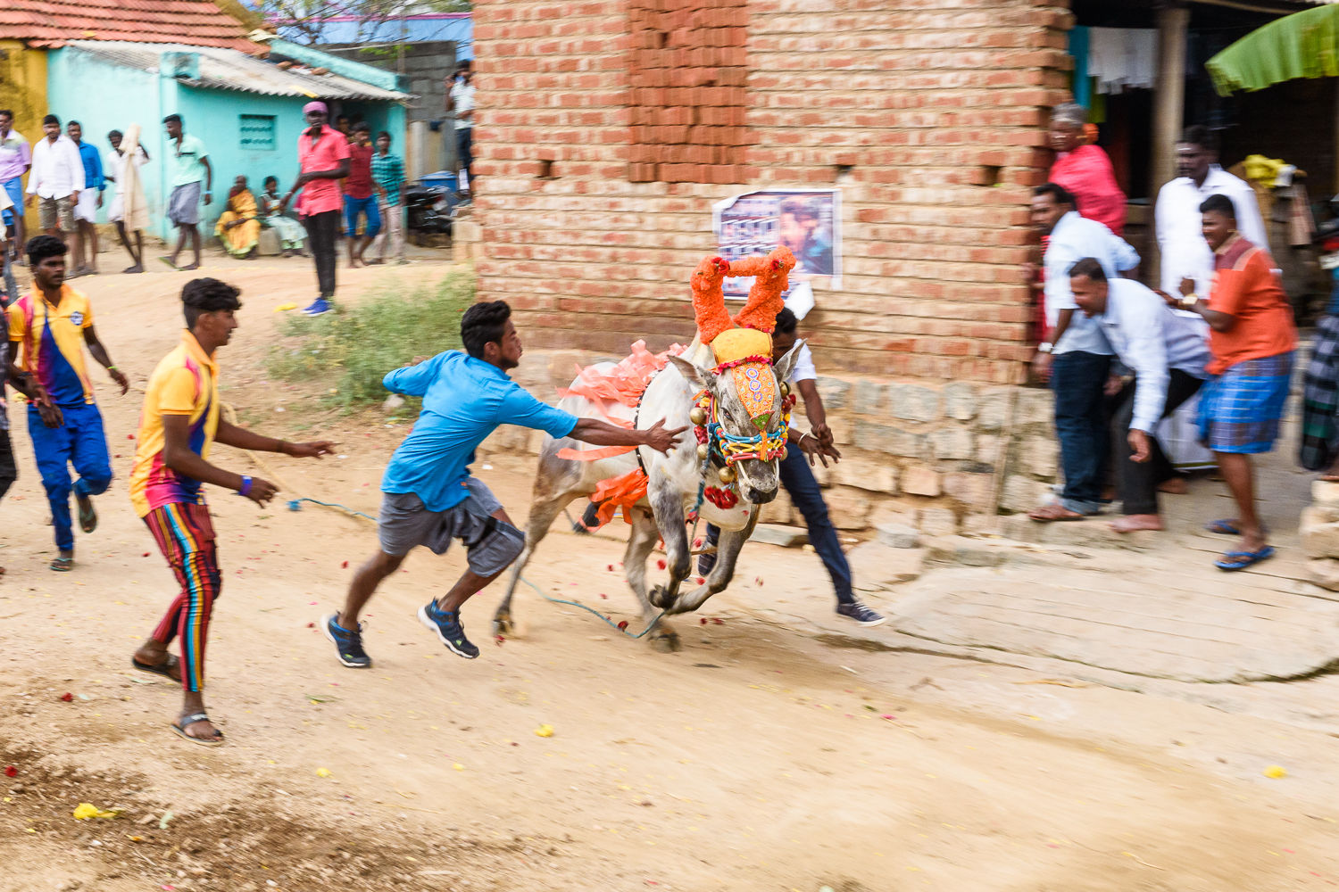 Running with the bull
