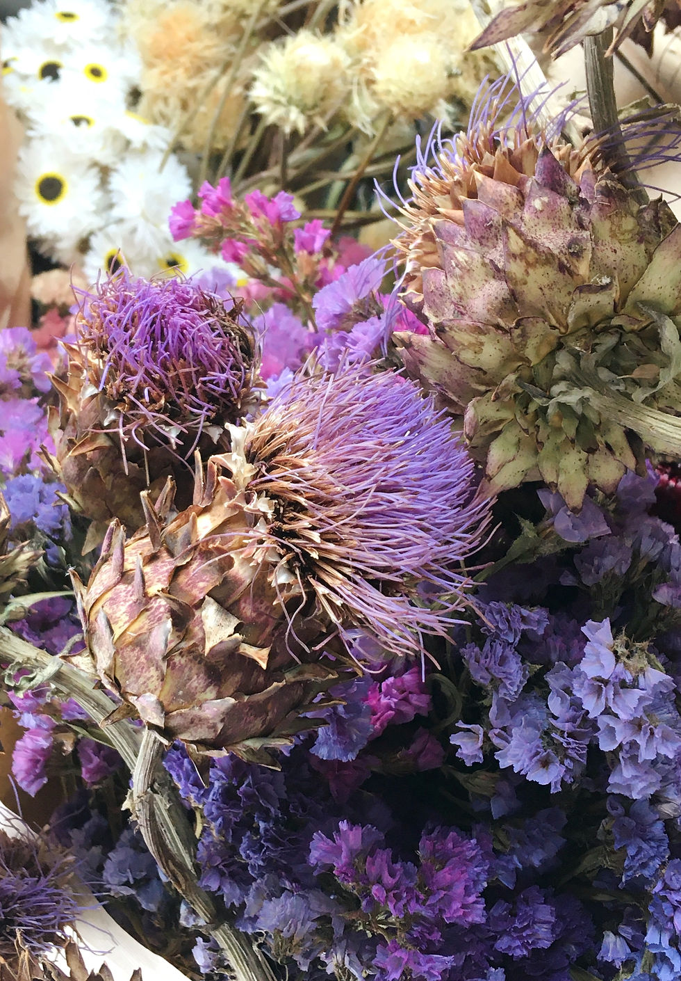 Thumbnail: droogbloemen