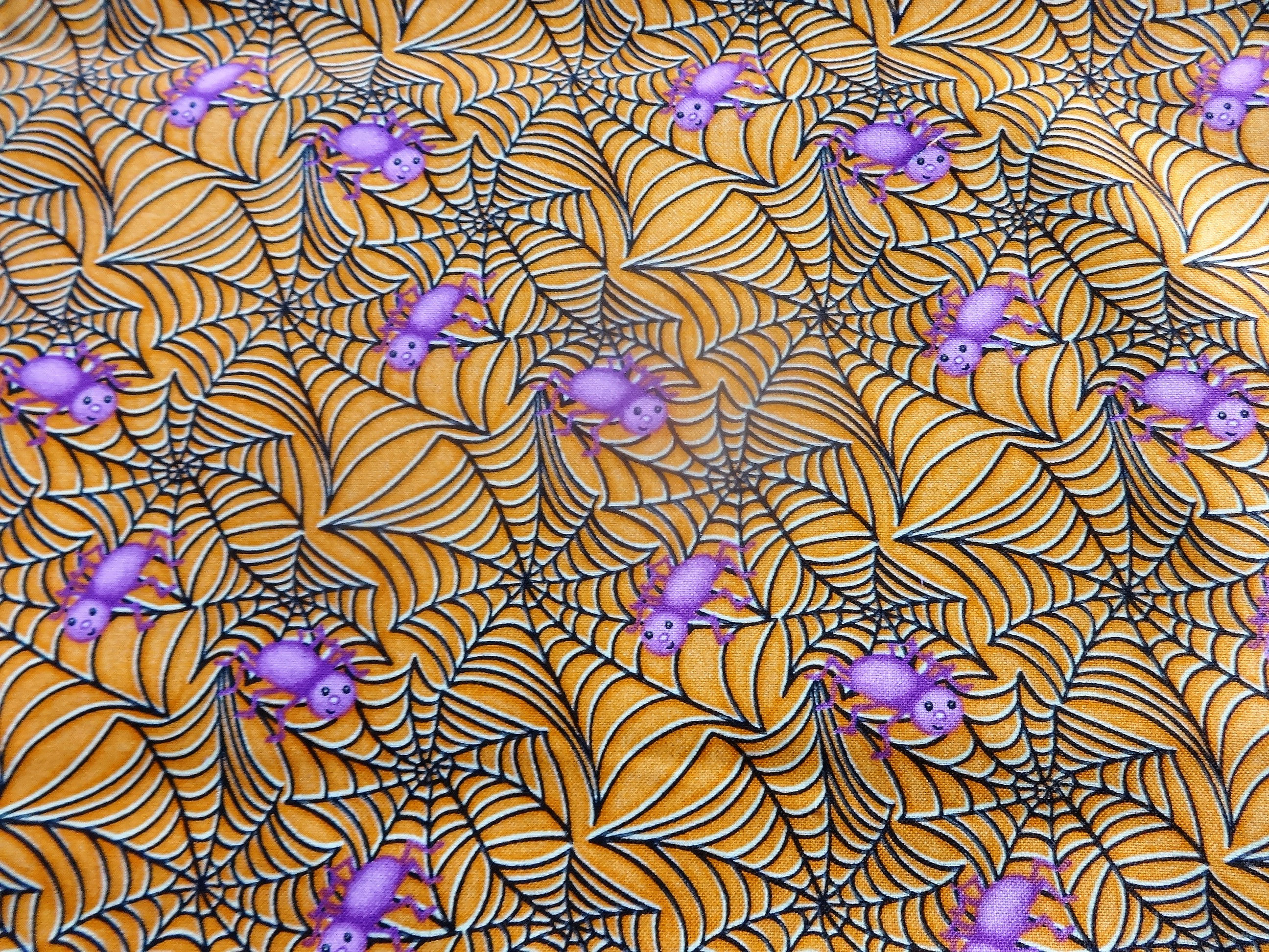 Happy Spiders - Two colors