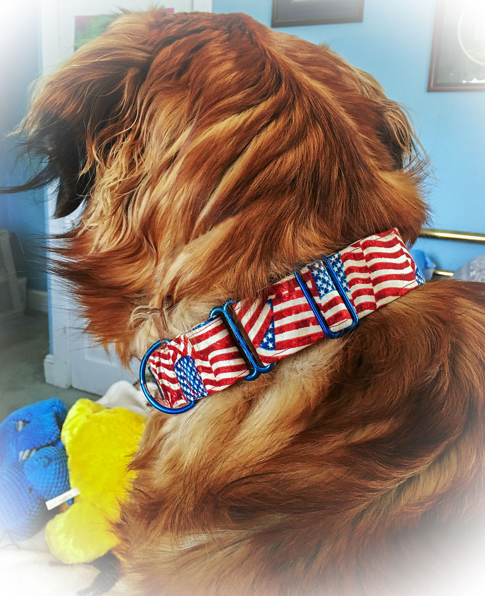 Thumbnail: Old Glory ~ LIMITED SUPPLY!
