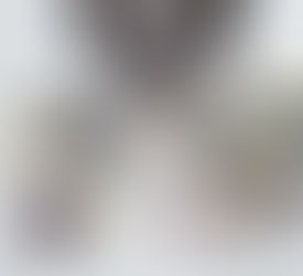 Interior Designer's and What We Do!!!