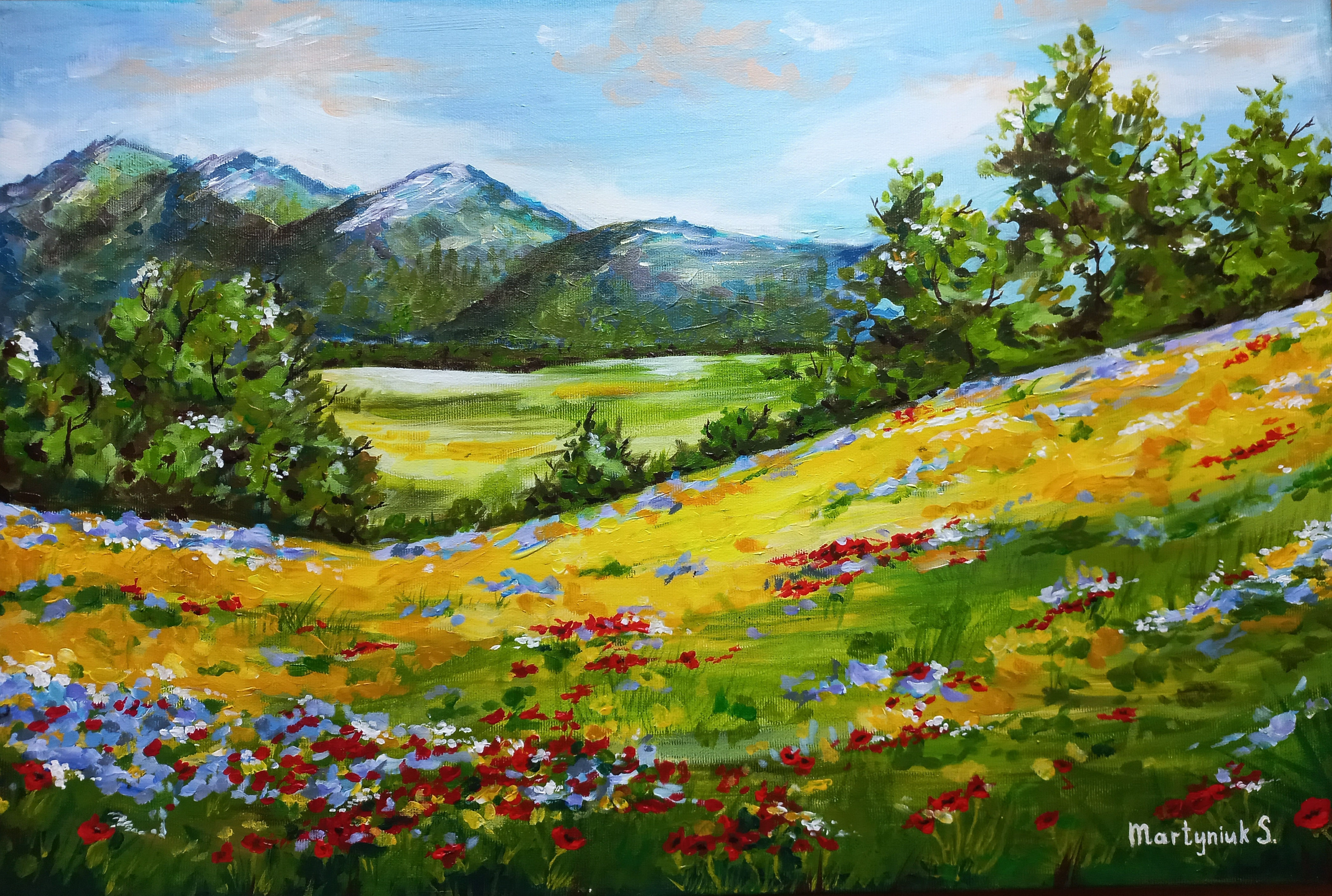 «Ukrainian Carpathian Mountains»