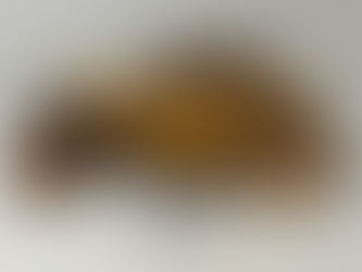 Auction#2 Estate of the Late Dr. Jerry E. Joyner/ Personal Property /Online Auction