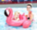 FERRY THE BABY FLAMINGO