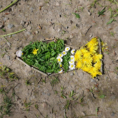 P1011655.jpeg