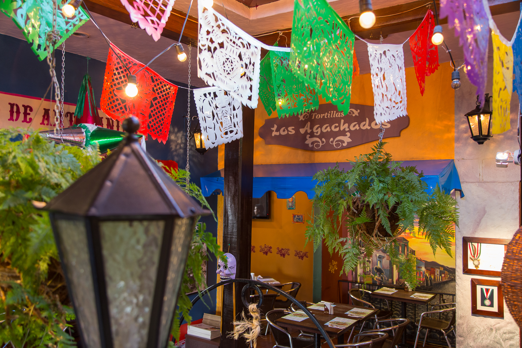 Restaurantes con mariachis en vivo bogota
