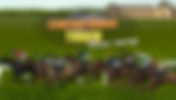 STARTERS ORDERS TOUCH HORSE RACING EN INGLÉS PC