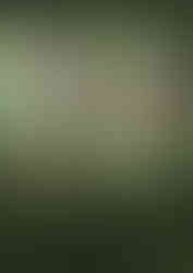 FLOOR LEVEL IDENTIFACTION