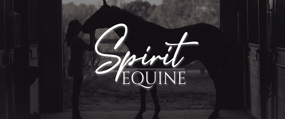 Spirit Equine-01.png