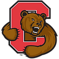 site (1).png