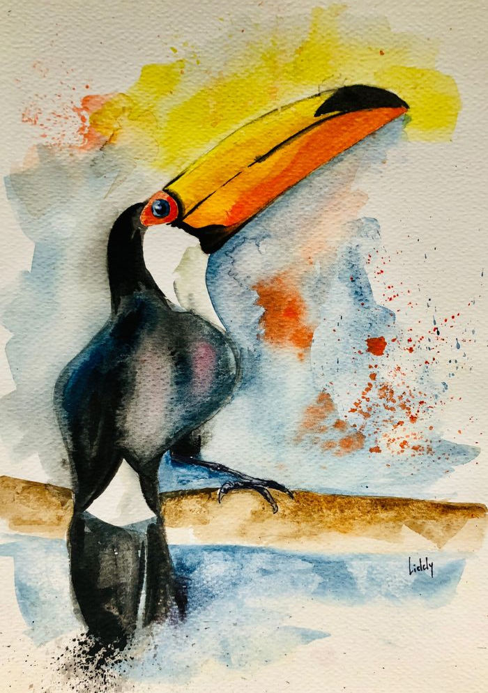 Toucan - Watercolour