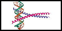 glycopeptideantilg.jpg