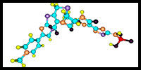 cephalosporinsoriglg.jpg