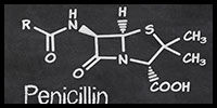 penicillinslg.jpg