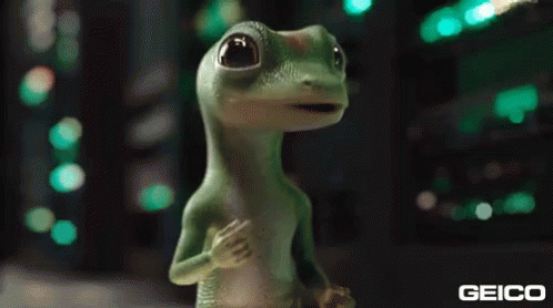 Insurance Geico.gif