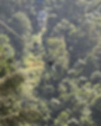 Experience unforgettable ziplining in Wayanad, nestled within the Western Ghats. Soar through the air, embracing the breathtaking beauty of towering hills, lush tea plantations, and Karapuzha Dam. Safety reigns paramount with internationally accredited standards, premium equipment, and expert guidance. Embark on an adventure that combines thrill and nature's artistry, leaving you with lasting memories! Learn more...