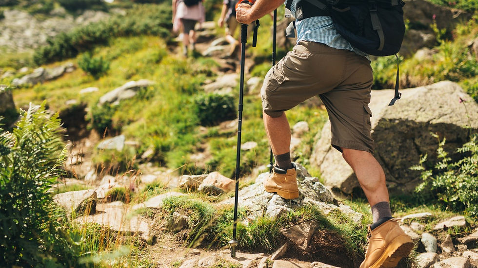 Unveil Kedarkantha's beauty year-round. Winter snow, spring blooms, and summer greens. Plan your trek for all-season wonder. Read more...