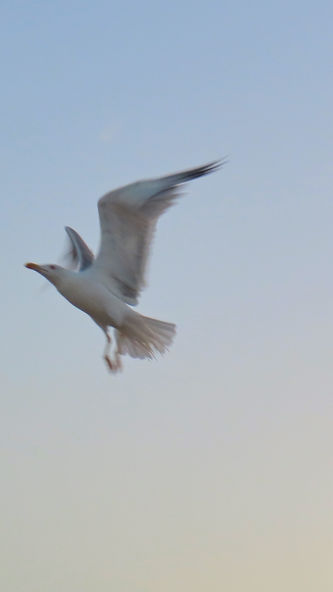 5753D462-F1AB-44E3-A73C-4C6DD5156750