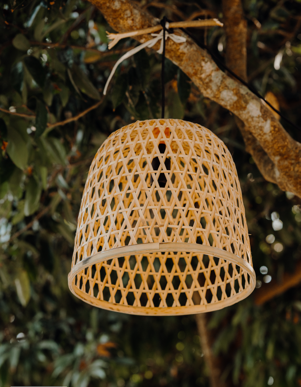 Polo Pendant Lamp