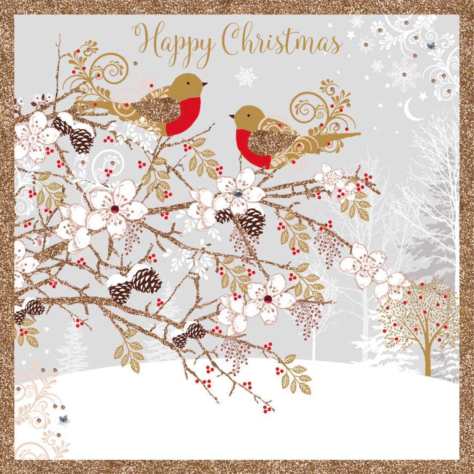 Robins in the Snow