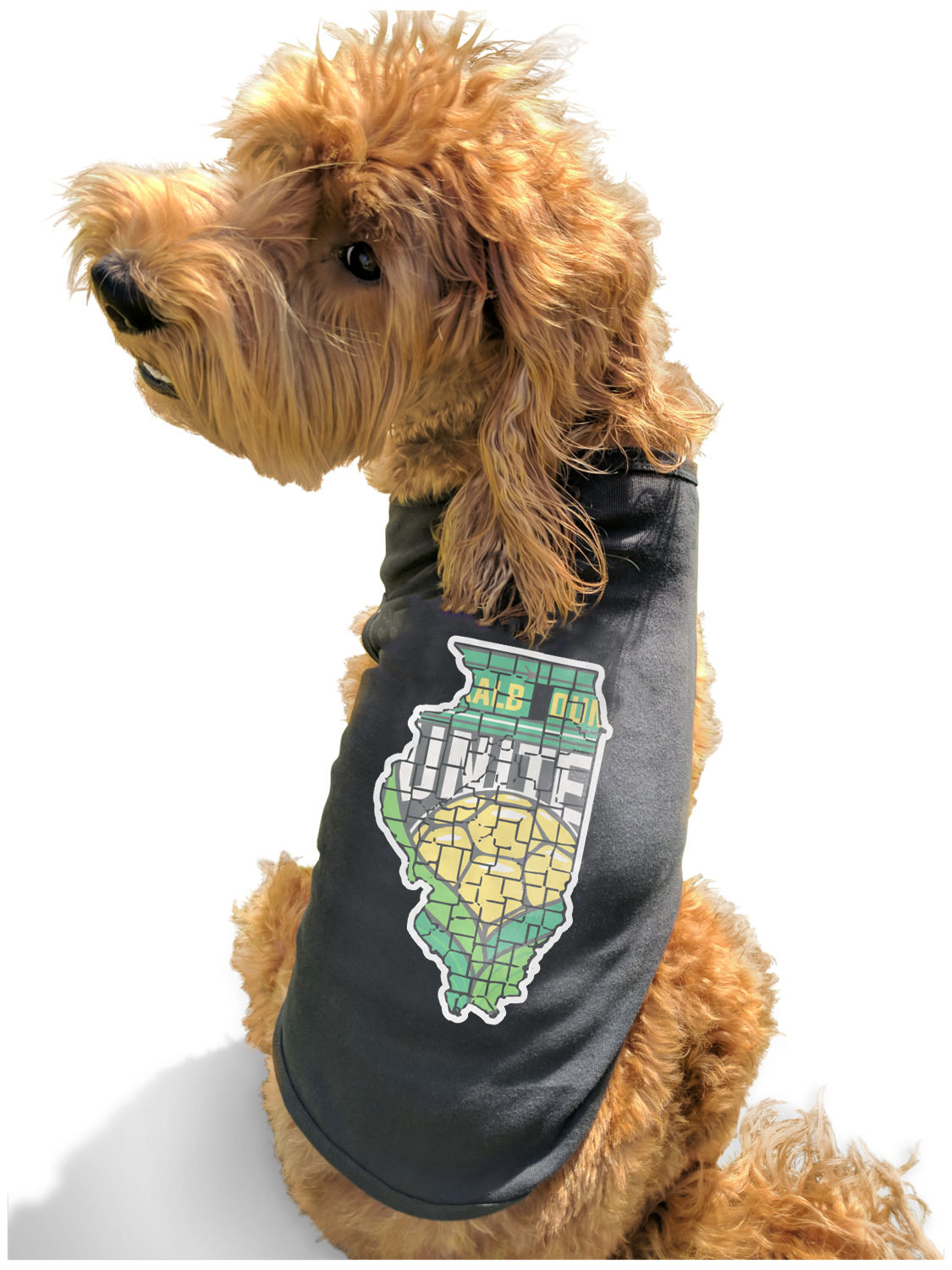 IL Outline Pet Shirt