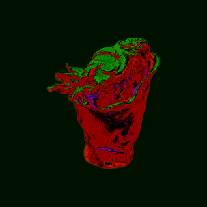 p60.jpg