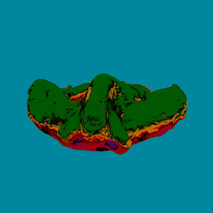 p20.jpg