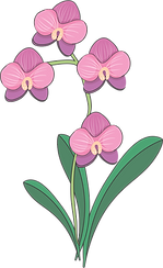 orquidea.png