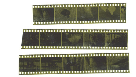 (boiled) marigold developer023.jpeg