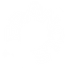 website.png