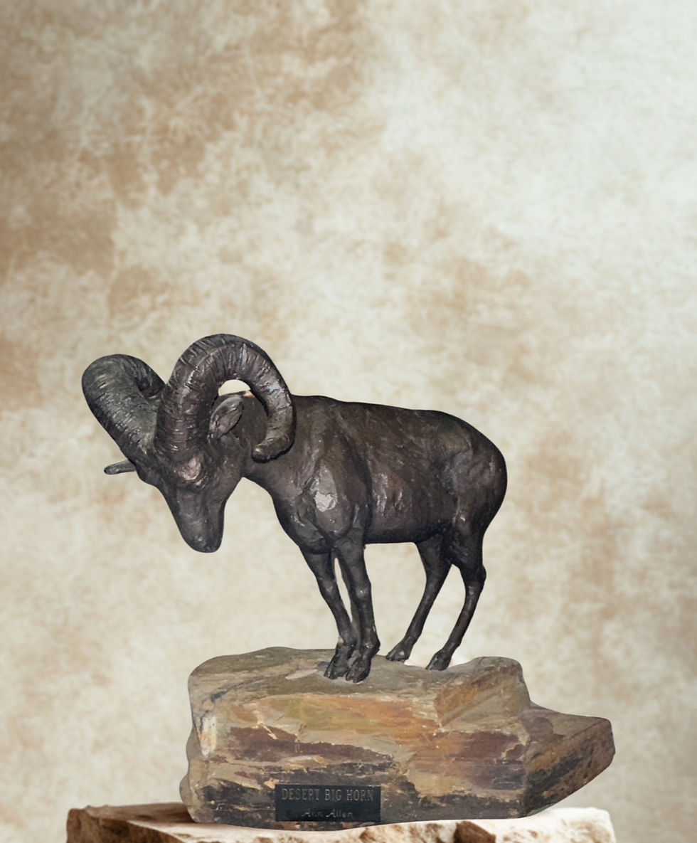 a6e05ebe-75c2-48e8-8076-d896336eadca_edited