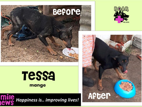 Smile News: Tessa