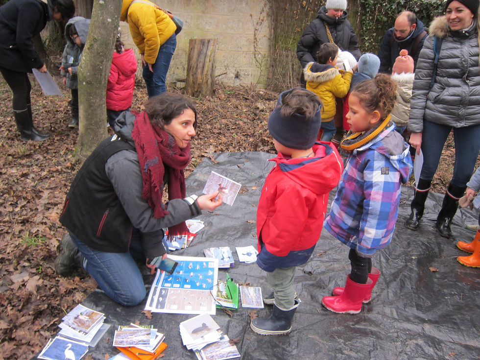 Observatoire des oiseaux