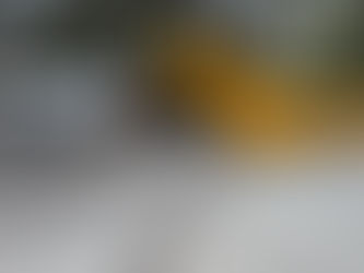 Winter Cleanup Made Easy: How a Roll-Off Dumpster Simplifies Cold-Weather Projects.