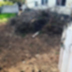 Yard Waste Removal