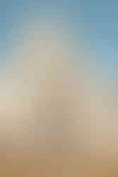 young black man sitting on the grass in front of capital building in saint paul