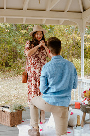 surprise proposal Minneapolis Minnesota