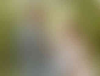 bride and groom minnesota