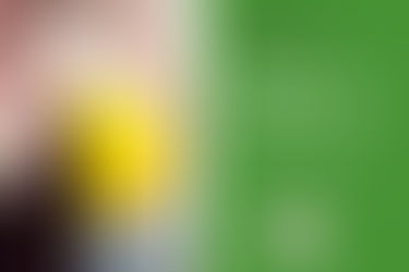 Engenheiros em Portugal